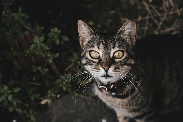 Guida alla Finanza nel Mondo dell'e-Immobil